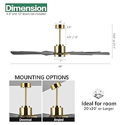 WINGBO 60" DC Ceiling Fan with Lights and Remote