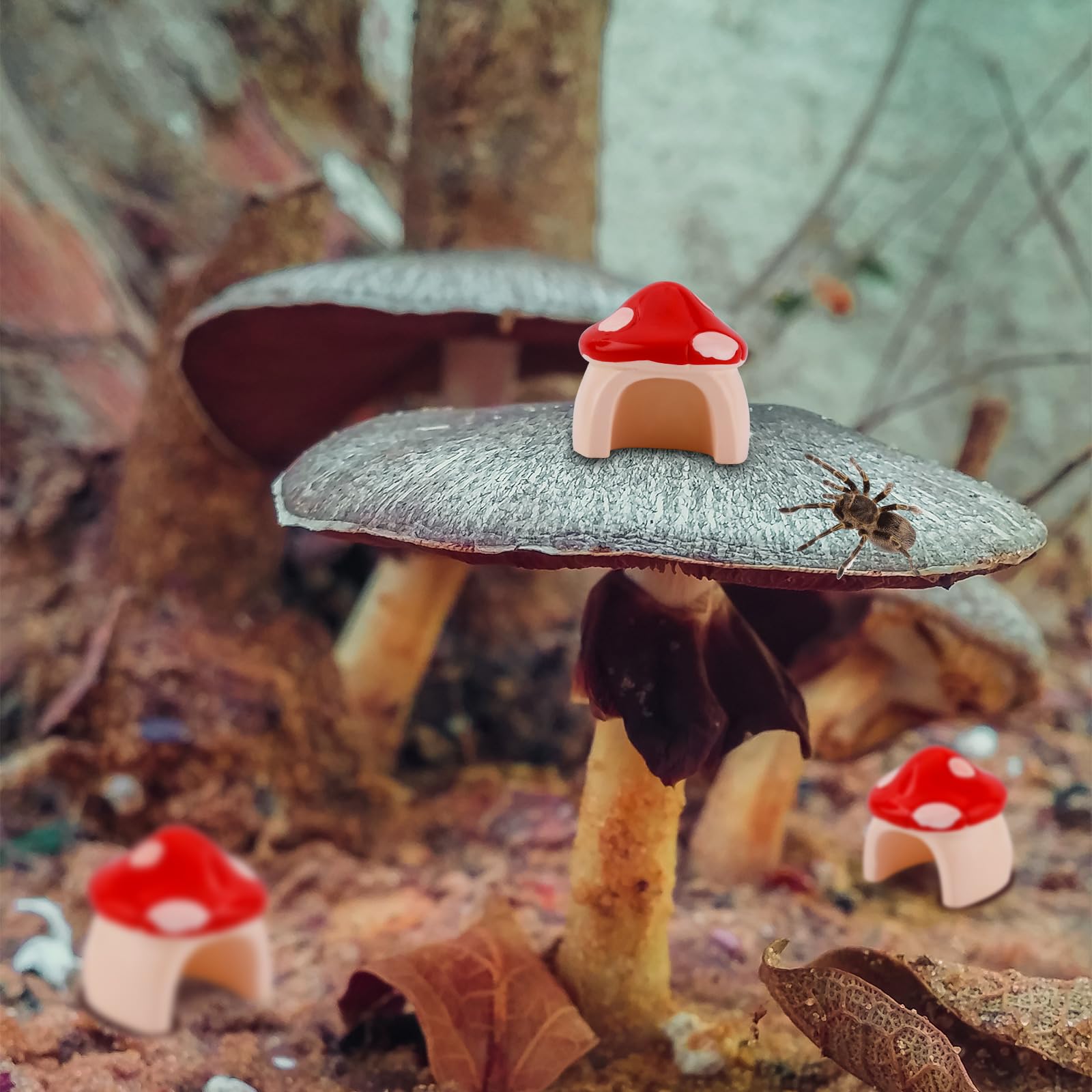 Gosknor 3pcs Jumping Spider Mushroom Hide for Spoods, Resin Jumping Spider Hideout House Cute Jumping Spider Mushroom Decor Jumping Spider Enclosure Accessories
