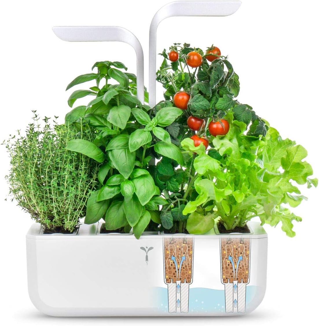 Véritable®- Huerta Interior Made in France - Cultivo en Interiores ...