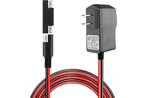 SAE Connector Charger for Kids Ride On Car Battery, BXIZXD 6 Volt Battery Charger for Disney Quad Pacific Cycle Marvel The Avenger Good Dinosaur Princess Fairies Minnie Mouse Frozen CAR McQueen ATV