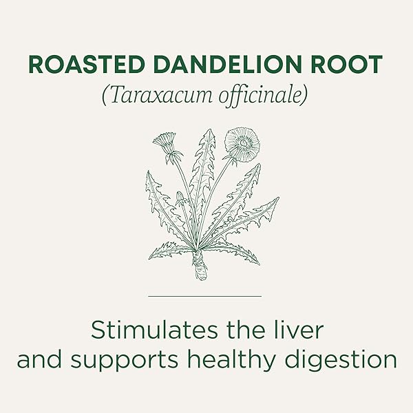 TRADITIONAL MEDICINALS TEA, ORGANIC ROASTED DANDELION ROOT, SUPPORTS KIDNEY FUNCTION & HEALTHY DIGESTION, 48 TEA BAGS