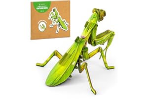 MAKEBUG STEM Projects Eco-Friendly Preschool Toys for Kids Ages 7+, Giant Asian Mantis 3D Paper Puzzles for Children, Learning Toys for Birthday, Christmas, Holidays…