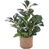 12.6" Fake Plants in Brown Ceramic Vase Real Looking and Touching Evergreen Ficus Leaf Faux Plant indoor for Book Shelf Bathroom Office Desk Kitchen Counter Bedroom Small Space Artificial Plant Decor