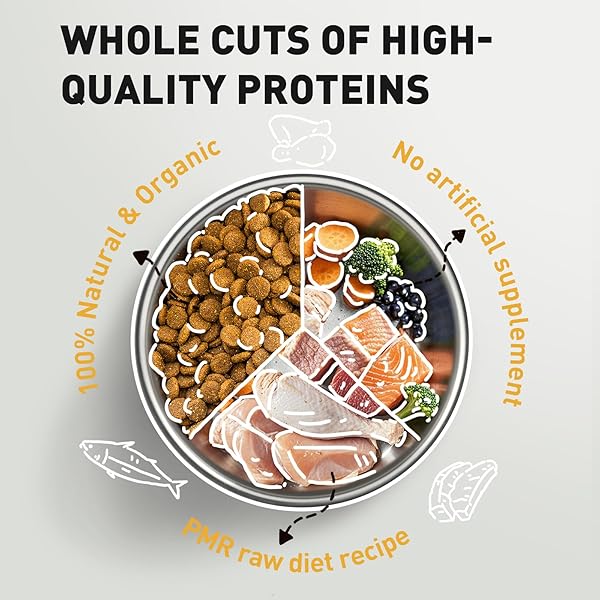 PURPOSE NATURAL DRY DOG FOOD, GRAIN FREE DRY DOG FOOD, PROTEIN RICH DOG FOOD FOR ALL BREEDS AND LIFE STAGES, FREE-RANGE DUCK RECIPE WITH POSTBIOTICS, 4.5LB BAG, USA MADE