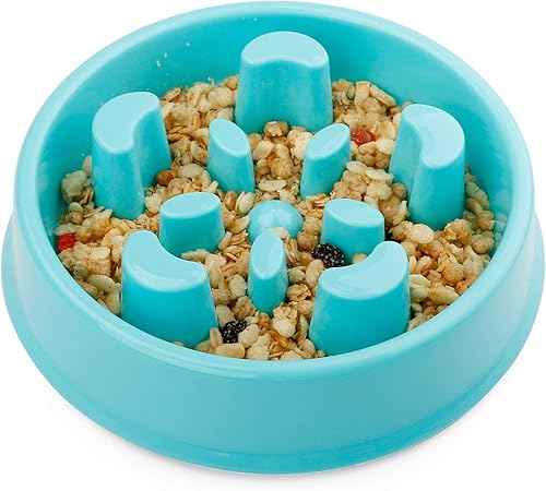 dog food dishes for fast eaters