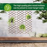 Garden Mile 180x30cm Wooden Trellis Heavy Duty Expanding Plant Support Panel view 4