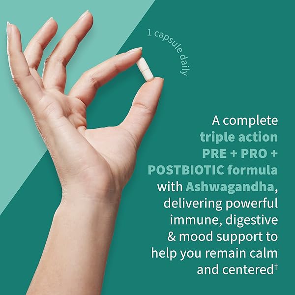 GARDEN OF LIFE DR FORMULATED CALM DAILY 3-IN-1 COMPLETE PROBIOTICS, PREBIOTICS & POSTBIOTICS WITH ASHWAGANDHA – PRE + PRO + POSTBIOTIC SUPPLEMENT FOR IMMUNE, DIGESTIVE & MOOD SUPPORT – 30 DAY SUPPLY