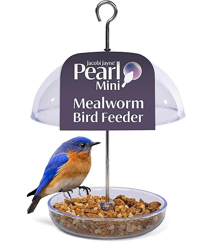 Perky-Pet 421 Mangeoire à Oiseaux Bleue Duo De Graines (1,4 Kg