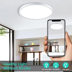 12 Inch 24W LED Flush Mount Ceiling Light