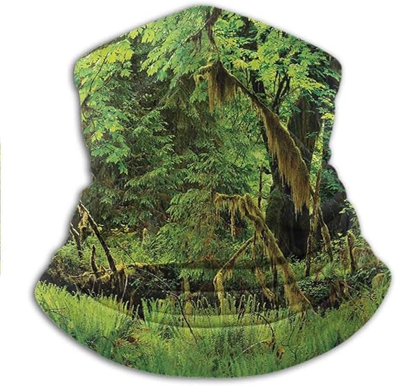 Amazon Co Jp ネックゲートル 熱帯雨林 寒い天候 顔 オートバイ スカーフ 木 苔 自然 楽園 静音 自然 リラクゼーション イラスト 10 X 12インチ グリーン 服 ファッション小物