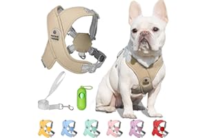 Patas Lague Dog Harness with Leash Set Adjustable Soft Padded Step-in Dog Vest No Choke No Pull Reflective for Small Medium Dogs with Poop Bags and Dispenser, Solid and No-chew, Brown M