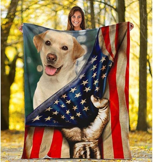 labrador retriever store