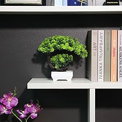yoerm Small Artificial Plants Greenery Desktop