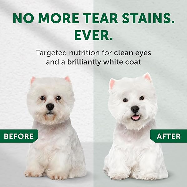 NATURE’S PROTECTION GRAIN FREE DRY DOG FOOD FOR SMALL BREED – HIGH PROTEIN TEAR STAIN DIET FOR ADULT DOGS WITH LIGHT FUR – SMALL BITES KIBBLE (SUPERIOR CARE – LAMB, 3.3 LB)