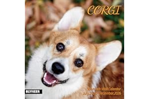 BLYYIEER 2026 Wall Calendar,Corgi Wall Calendar, 12" x 24" Open,Family Planner Calendar Organizer with Corgi Images, for Dogs Lovers