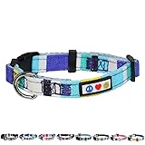 Pawtitas Multicolor Dog Collar Puppy Collar Pet