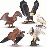 5 PCS Birds of Prey Figurines, Plastic Realistic Animal Replica Models Toy Figures Educational Set for Kids &amp; Adults Collection (Birds of Prey)