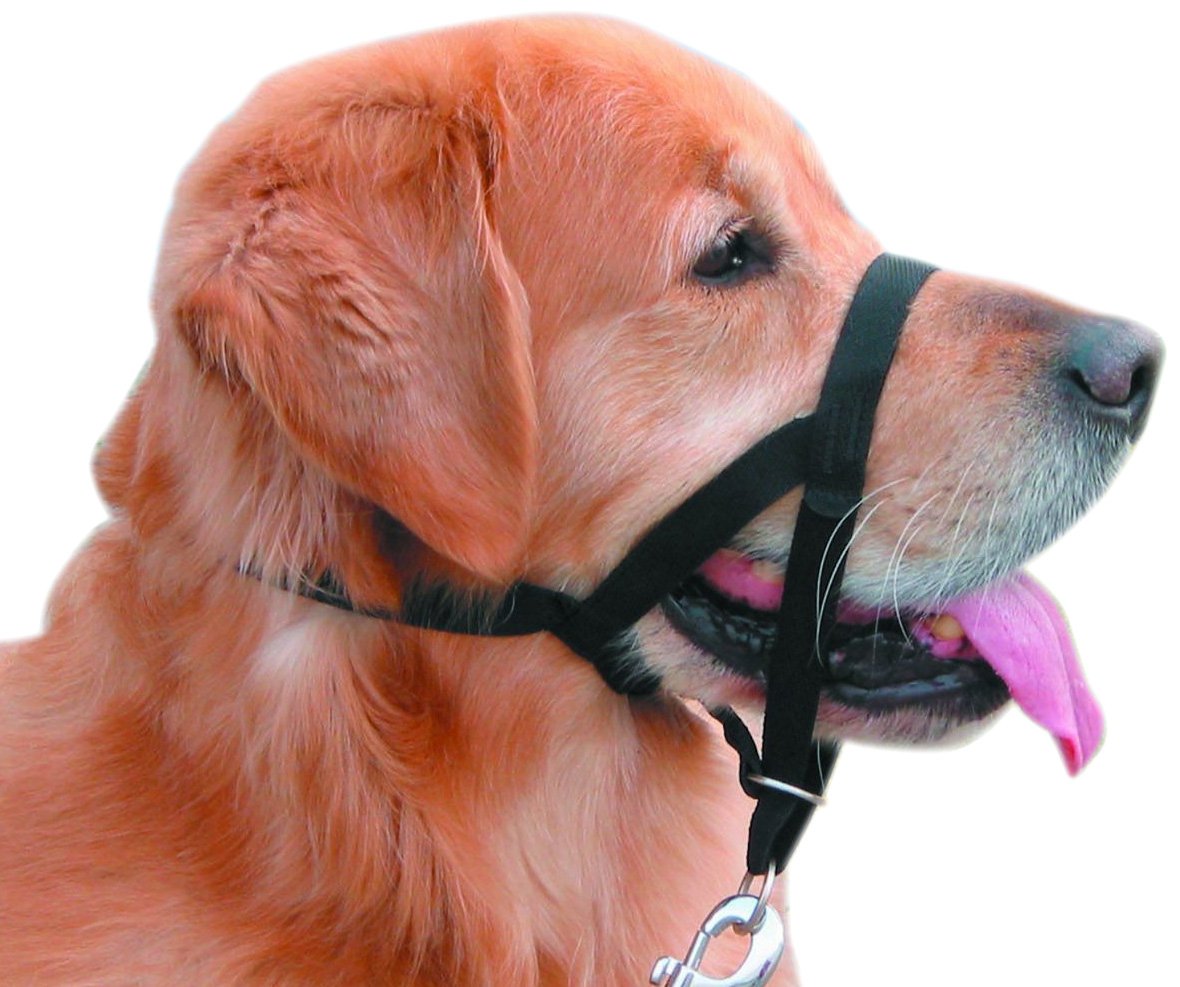 Nobby Easy Leader Harness for Dog, Size 4, Black