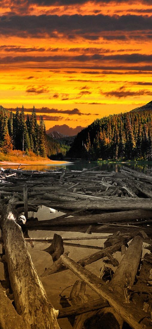 PeelitStickit, Beautiful Nature Wall Murals, ID-2849, vinyl, Multi-colour