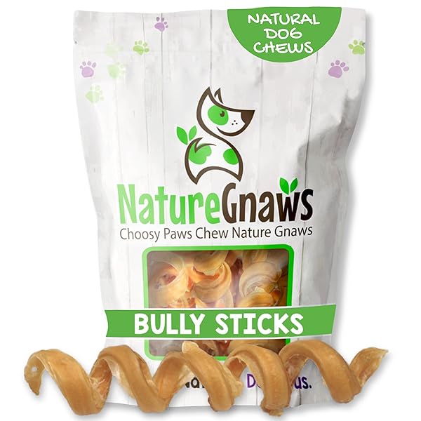 NATURE GNAWS BULLY STICK SPRINGS FOR DOGS 7-8″ (6 COUNT) – LONG LASTING FOR AGGRESSIVE CHEWERS – NATURAL CURLY BEEF DOG CHEW BONES – RAWHIDE FREE