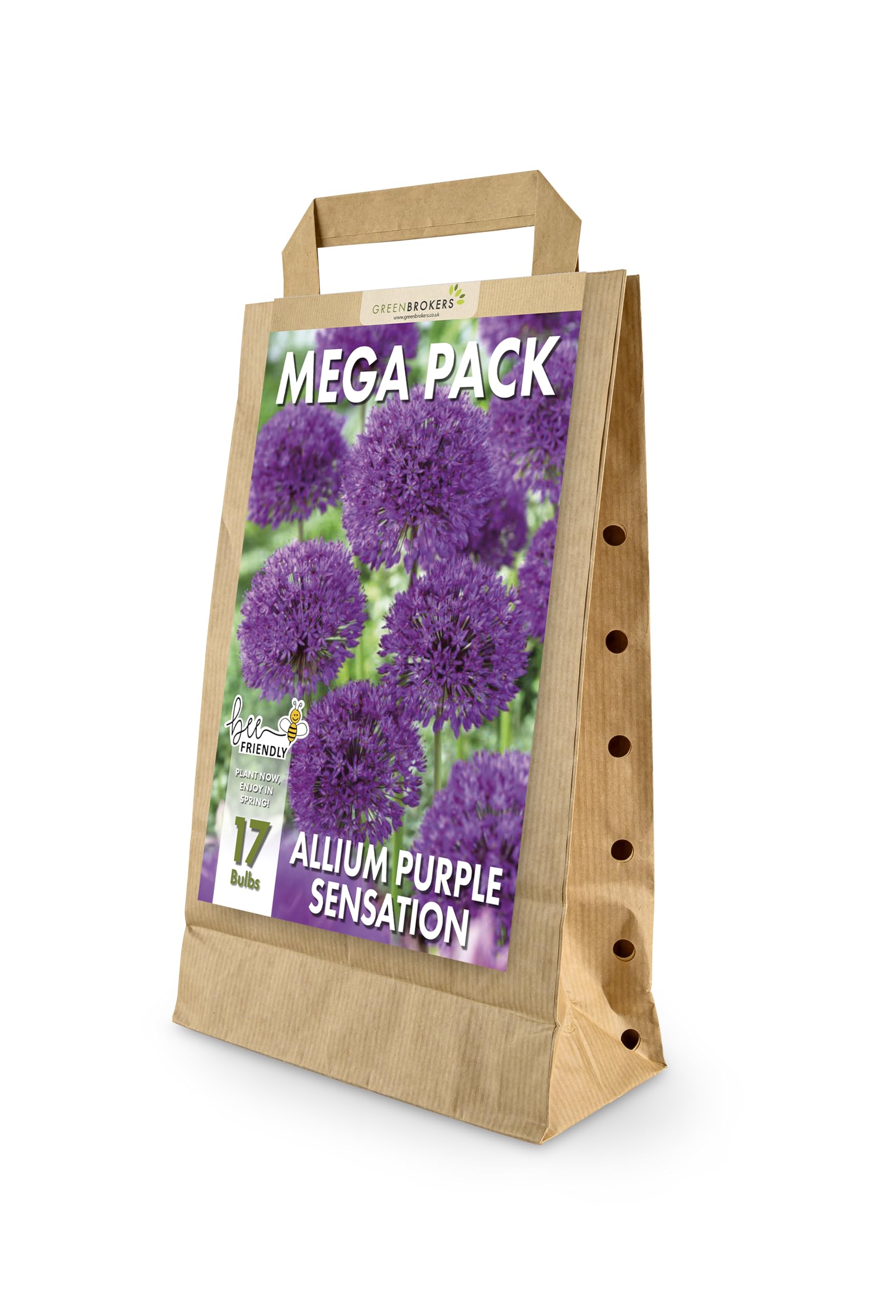 GreenBrokers Big Value Pack Allium Bulbs