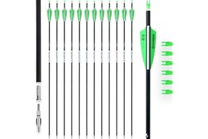 BOWSOUL 31Inch Carbon Arrows for Target Practice Hunting Arrow with Removable Tips for Compound & Recurve Bow(Pack of 12)