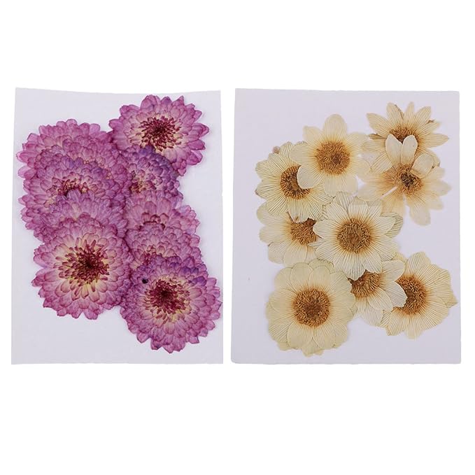 Hogar Y Cocina Decoracion Del Hogar Baoblaze 20 Unidades De Flores