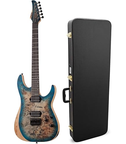 Amazon.com: Schecter Reaper-6 - Satin Sky Burst : Musical