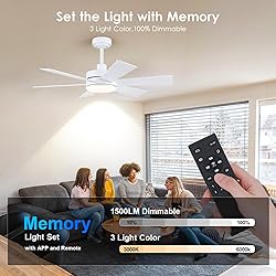 42 inch Ceiling Fans with Lights, Ceiling Fan with