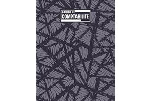 Cahier de Comptablité: Registre des recettes auto-entrepreneur, Livre de compte auto entrepreneur, Recette comptable du micro