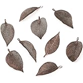 PH PandaHall Panadhall 10pcs Large Hole Natural Real Filigree Leaf Pendants Charms 1.97~3.15x0.79~1.38 Inch with Copper Plated Iron Bail for Necklace Jewelry Making