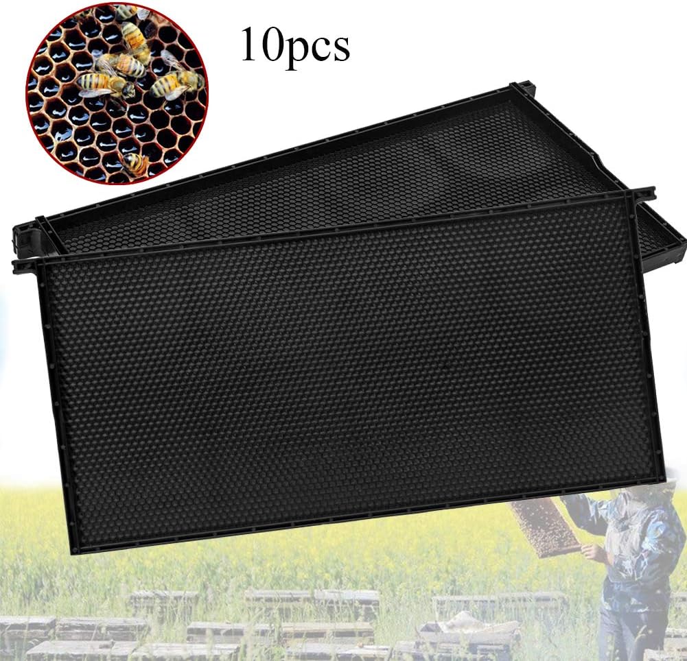 APWONE 10PCS 91/8" Deep Plastic Langstroth Frames