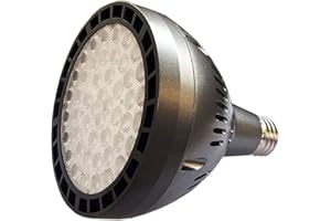 LED Pool Light Bulb 65W 120V 6500lm 6500K Daylight White Replacement up to 300W-900W Inground Pool Light Traditionnal Bulb Re