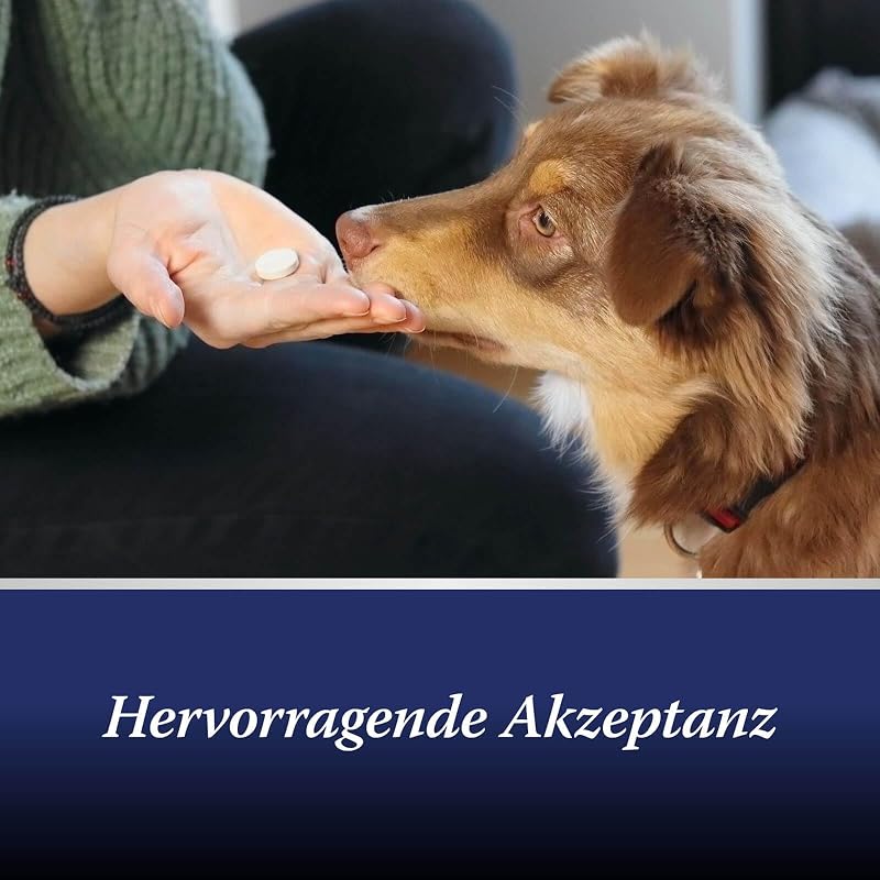 Gelenktabletten Hund - 20 Tabletten