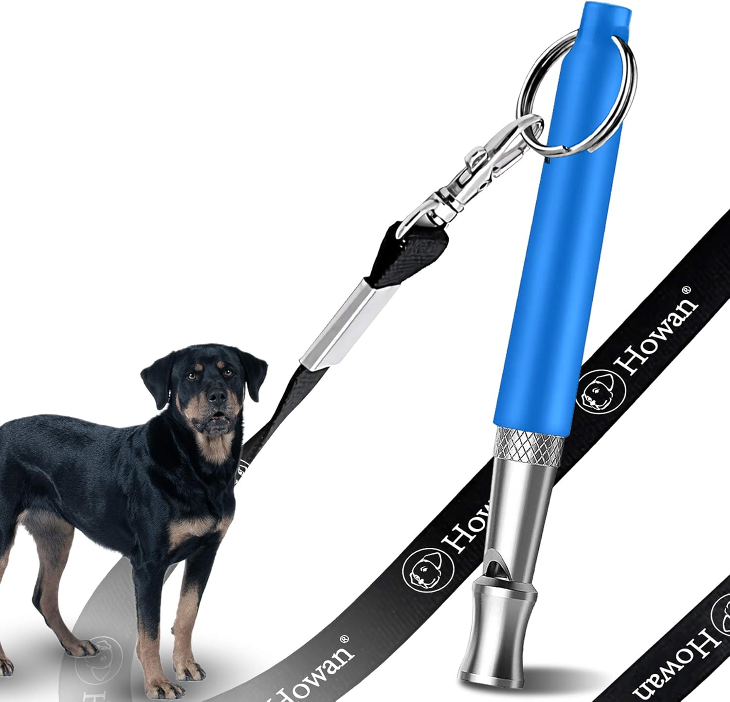 lanyard for dog training