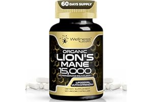 WELLNESS LABSRX Lions Mane Supplement Capsules - 120 Count - Mushroom Supplement, Brain Supplements for Memory and Focus, Lion's Mane Mushroom Capsules Organic - Cognitive and Immune Support, Focus Supplement