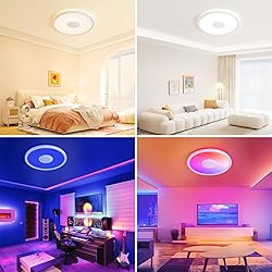 LED Ceiling Light Fixture with Bluetooth