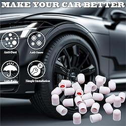 MEAJOO 15PCS Tire Valve Stem Caps, Corrosion