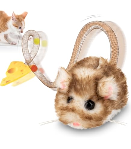 Amazon.com: Rotating Interactive Balls Toy for Cats, Exercise Cat Wheel  Gift, Cat Furniture, Custom Wood Play : Pet Supplies