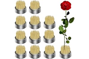 ALIMTEE 12Pcs Kenzan Ikebana Flower Frogs, Japanese Mini Kenzan Pin Frog 23mm/0.9inch Diameter Floral Ikebana Flower Arranger Pin Holder for Small Vase