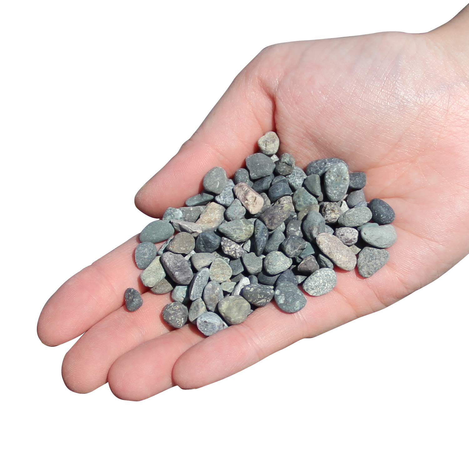 Mua 水槽用底砂 大磯砂利 2分 洗って入れるだけでぴったり 30cm水槽で3センチ 45cm水槽で2センチにぴったり敷ける お魚の色を鮮やかに演出する天然カラー Ooisoja 2分 Tren Amazon Nhật Chinh Hang Fado