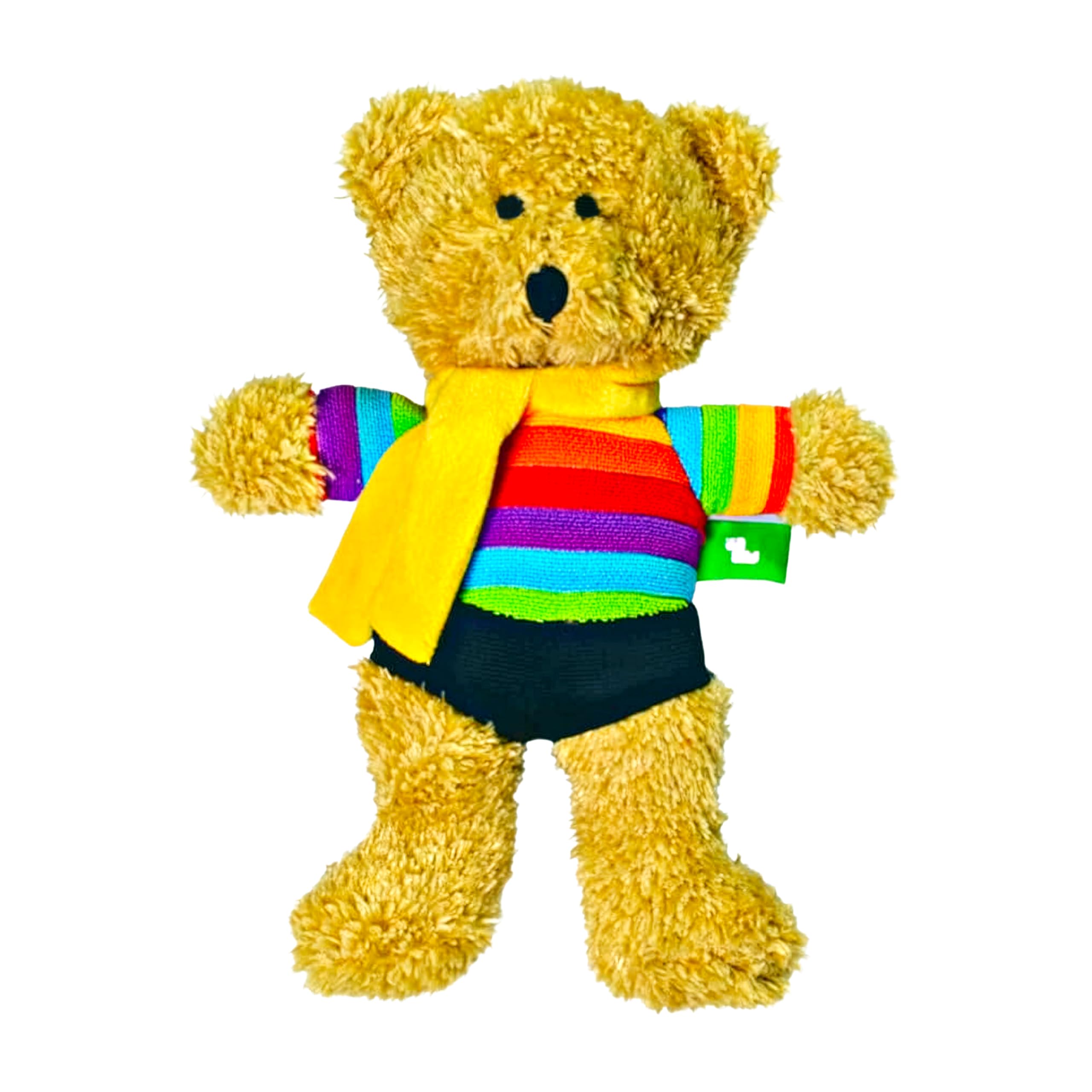 Scarlaroo Plush Teddy Bear Dog Toy – Rainbow Ted for Small Dogs and Puppies
