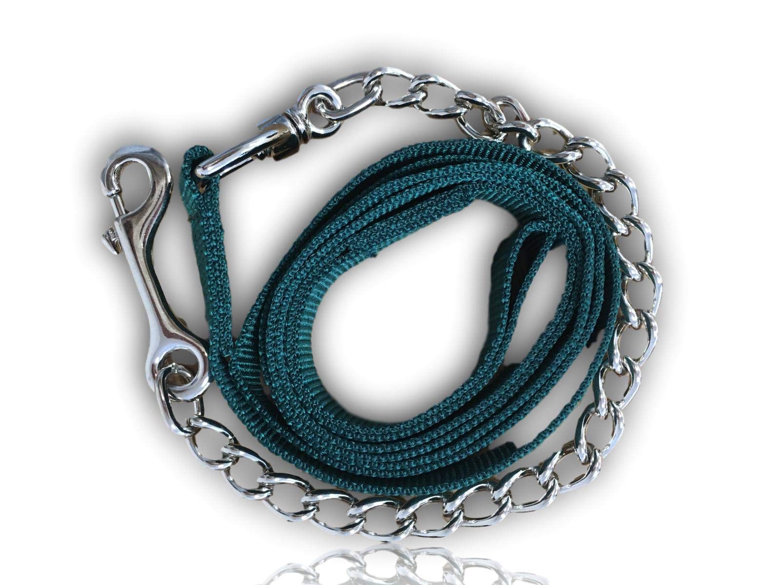 Bosco Dog Lead with Metal Chain, for Dog Training, Nylon Handle, Bite-Resistant, Suitable for Large, Medium and Small Dogs, Length 2.10 m (Dark Green)