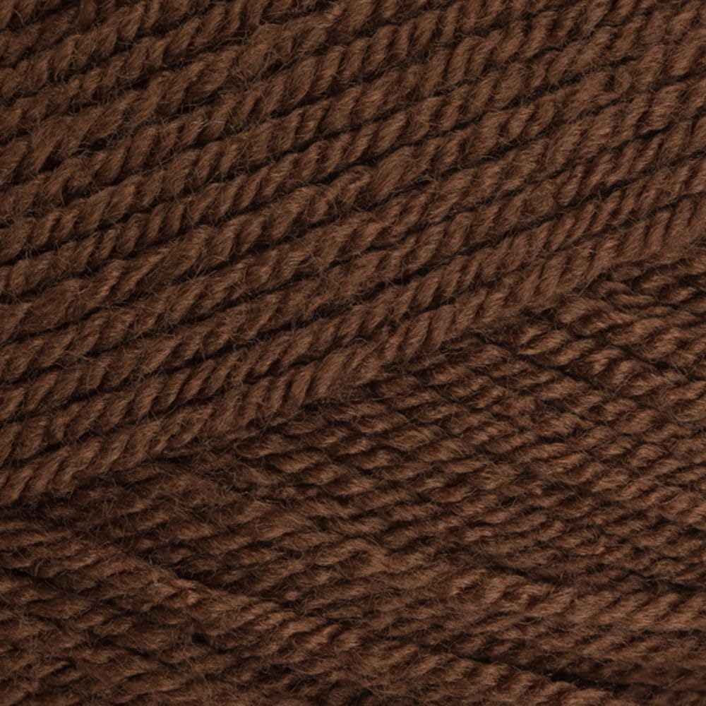 Stylecraft 9041054 Special DK Walnut (1054) Yarn - 100g โ image 1