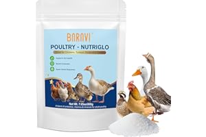 Hen Digestive Supplement - 200g | Probiotics, Digestive Enzymes & Electrolytes | Essential Vitamins for Adult Poultry Health 