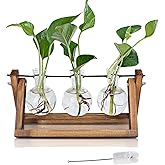 Hbnlai Plant Propagation Station, Plant Terrarium with Wooden Stand for Hydroponic Plants Home Garden Office Decor Indoor, Ga