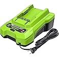 Greenworks 40V Battery Charger (Genuine Greenworks Charger)