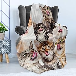 Ambesonne Kittens Throw Blanket, Licking Cats with