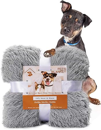 best dog eye drops for cataracts