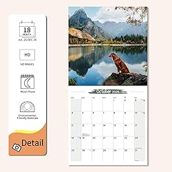2025-2026 Wall Calendar Nova Scotia Duck Tolling